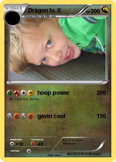 Pokemon Dragon lv. X