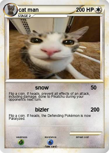 Pokemon cat man