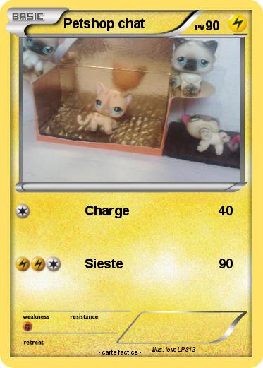 Pokemon Petshop chat