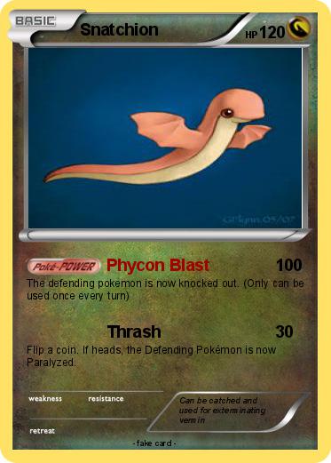 Pokemon Snatchion