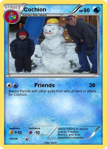 Pokemon Cochion