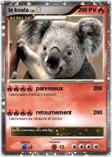 Pokemon le koala