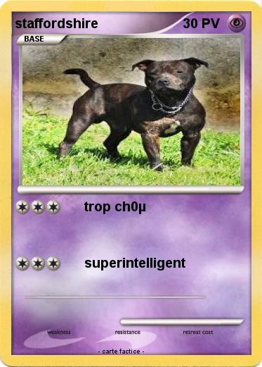 Pokemon staffordshire
