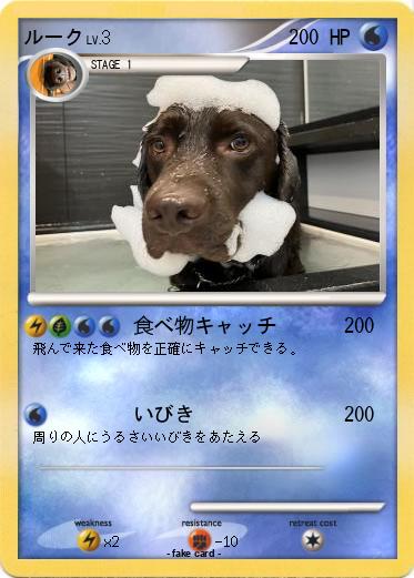 Pokemon ルーク