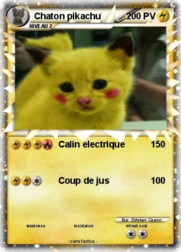 Pokemon Chaton pikachu