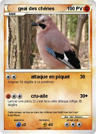 Pokemon geai des chênes