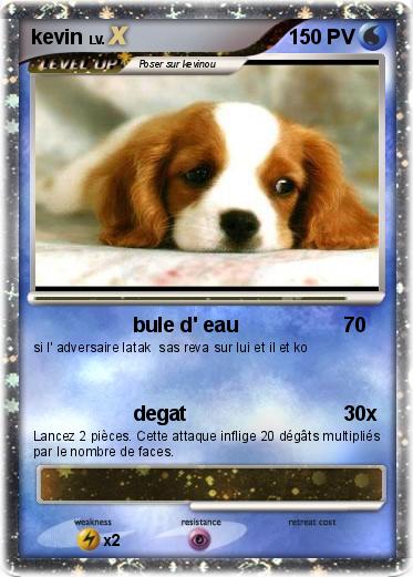 Pokemon kevin
