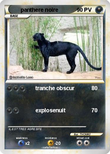 Pokemon panthere noire