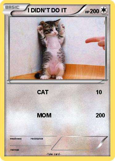 Pokemon I DIDN'T DO IT