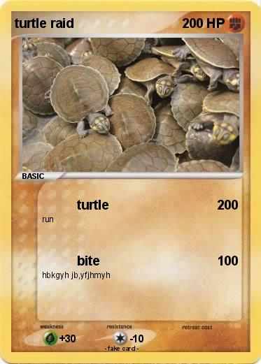 Pokemon turtle raid
