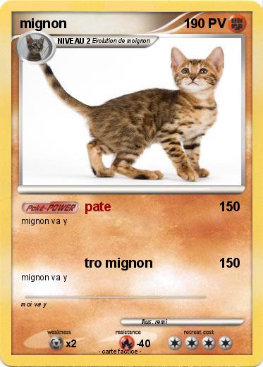 Pokemon mignon