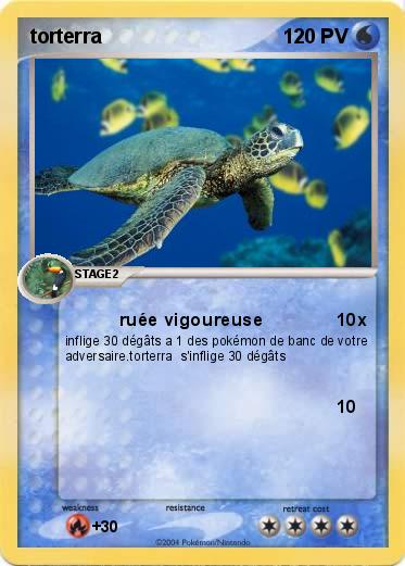Pokemon torterra