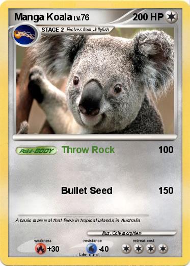 Pokemon Manga Koala