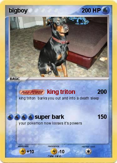 Pokemon bigboy