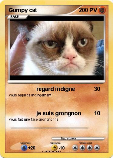 Pokemon Gumpy cat