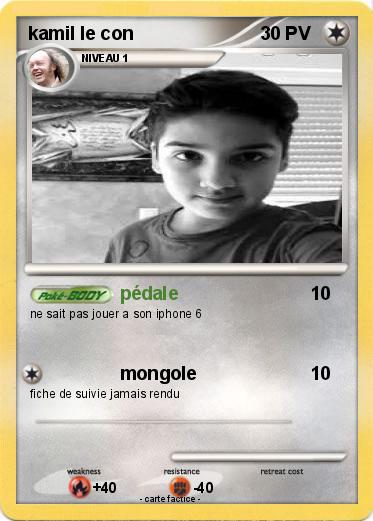Pokemon kamil le con