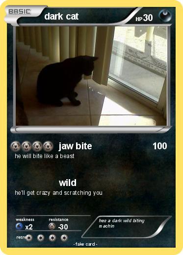 Pokemon dark cat