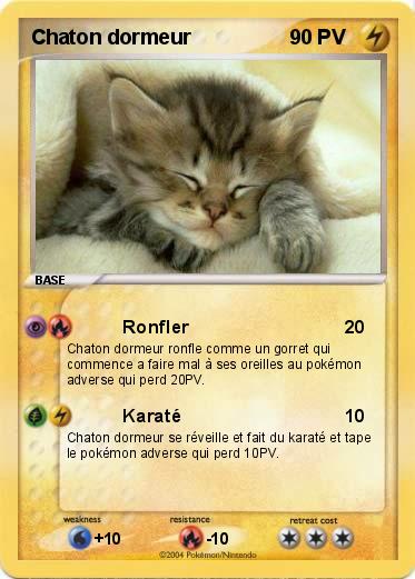 Pokemon Chaton dormeur