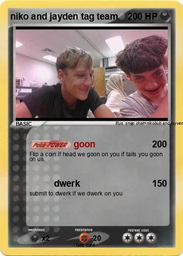 Pokemon niko and jayden tag team