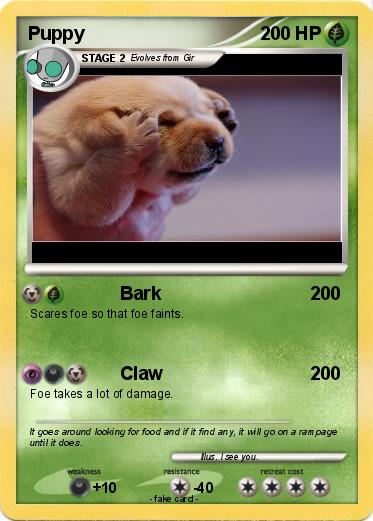 Pokemon Puppy