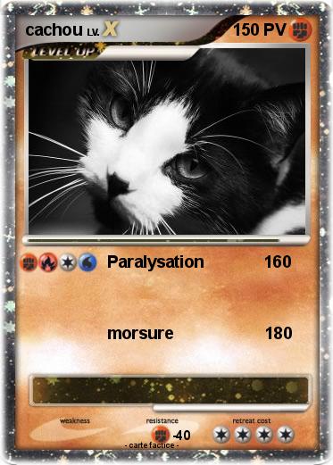 Pokemon cachou
