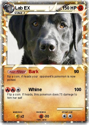 Pokemon Lab EX