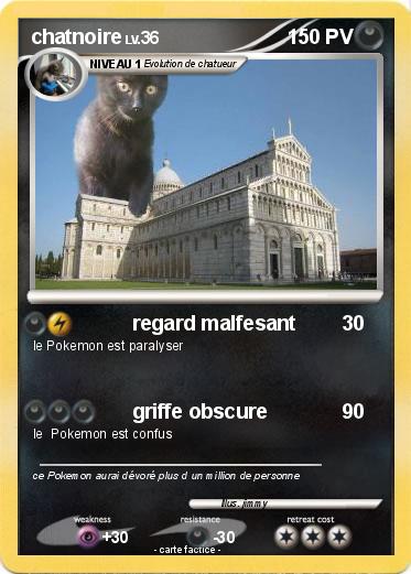 Pokemon chatnoire