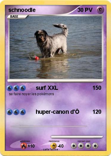Pokemon schnoodle