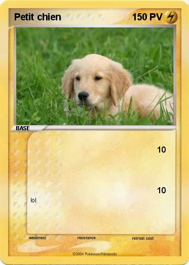 Pokemon Petit chien