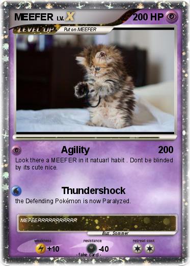 Pokemon MEEFER