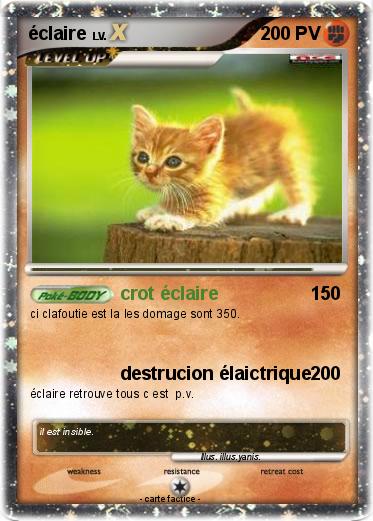 Pokemon éclaire