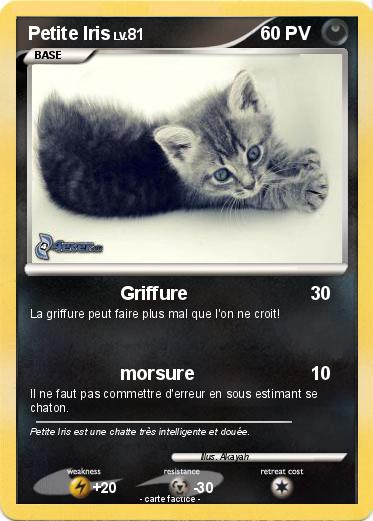 Pokemon Petite Iris