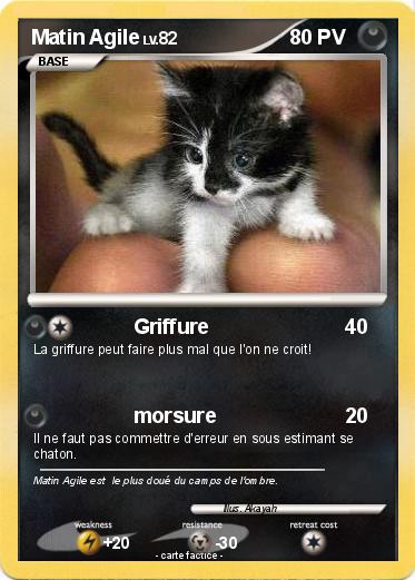 Pokemon Matin Agile