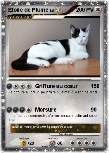 Pokemon Etoile de Plume
