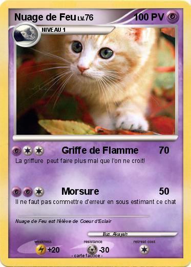 Pokemon Nuage de Feu