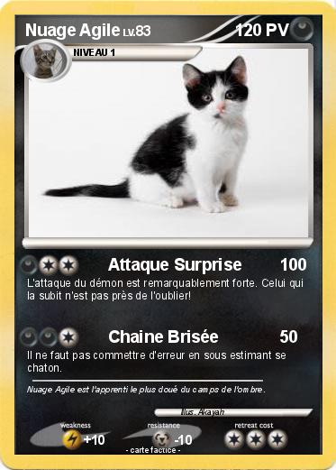 Pokemon Nuage Agile