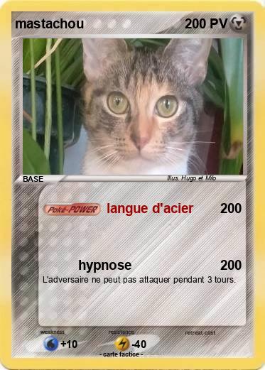 Pokemon mastachou