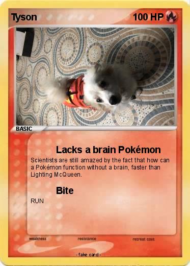 Pokemon Tyson