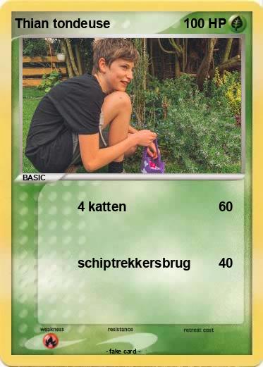 Pokemon Thian tondeuse