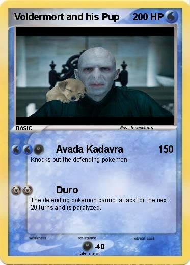 Pokemon Voldermort and his Pup