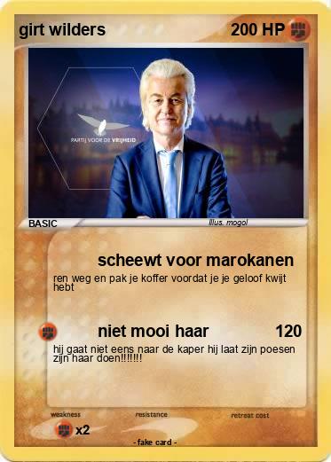 Pokemon girt wilders
