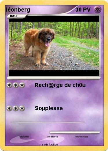 Pokemon léonberg