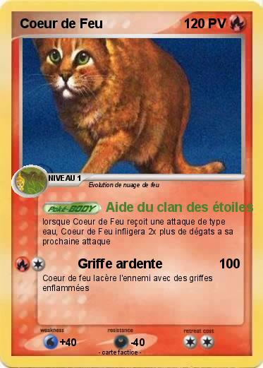 Pokemon Coeur de Feu