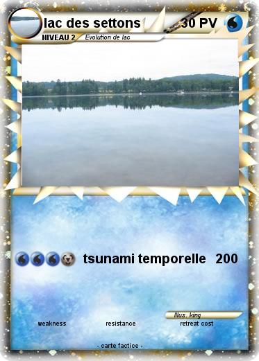 Pokemon lac des settons