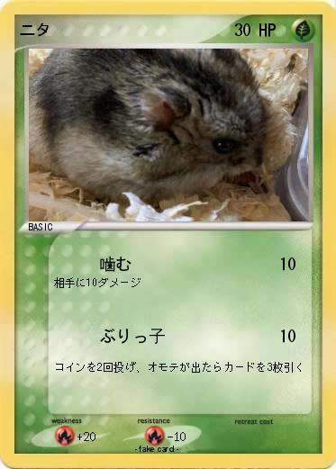 Pokemon ニタ