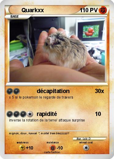Pokemon Quarkxx