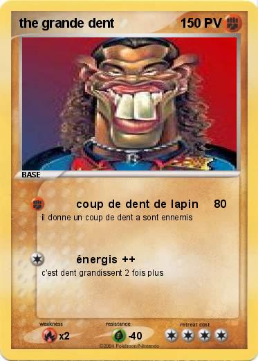 Pokemon the grande dent 
