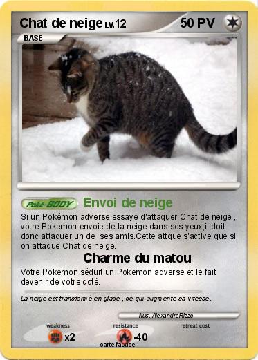 Pokemon Chat de neige