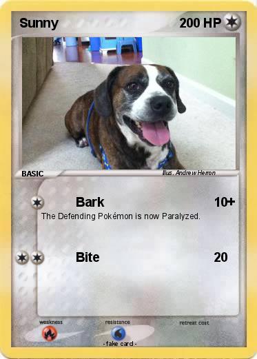 Pokemon Sunny