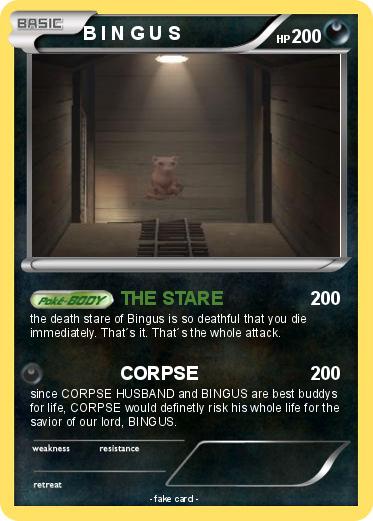 Pokemon B I N G U S